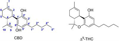 An Overview on Medicinal Chemistry of Synthetic and Natural Derivatives of Cannabidiol